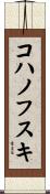 コハノフスキ Scroll