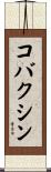 コバクシン Scroll