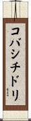コバシチドリ Scroll