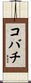 コバチ Scroll