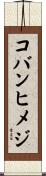 コバンヒメジ Scroll