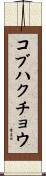 コブハクチョウ Scroll