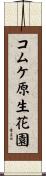 コムケ原生花園 Scroll