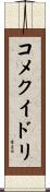 コメクイドリ Scroll