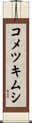 コメツキムシ Scroll