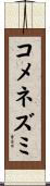 コメネズミ Scroll