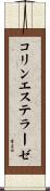 コリンエステラーゼ Scroll