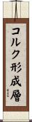 コルク形成層 Scroll