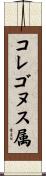 コレゴヌス属 Scroll