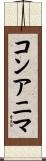 コンアニマ Scroll