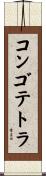コンゴテトラ Scroll