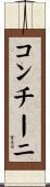 コンチーニ Scroll