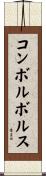コンボルボルス Scroll