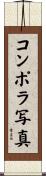 コンポラ写真 Scroll