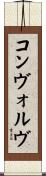 コンヴォルヴ Scroll