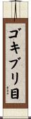 ゴキブリ目 Scroll