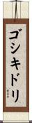 ゴシキドリ Scroll