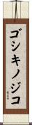 ゴシキノジコ Scroll