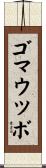 ゴマウツボ Scroll