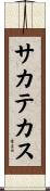 サカテカス Scroll