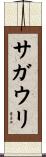 サガウリ Scroll