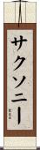 サクソニー Scroll