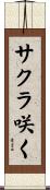サクラ咲く Scroll