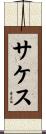 Saketh Scroll
