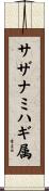 サザナミハギ属 Scroll