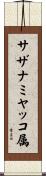 サザナミヤッコ属 Scroll