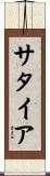サタイア Scroll