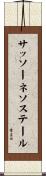 サッソーネソステール Scroll