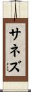 Sanez Scroll