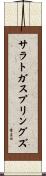サラトガスプリングズ Scroll