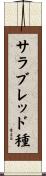 サラブレッド種 Scroll