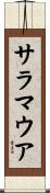 サラマウア Scroll