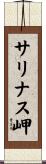 サリナス岬 Scroll