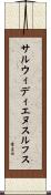 サルウィディエヌスルフス Scroll