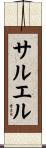サルエル Scroll