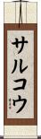 サルコウ Scroll