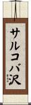 サルコバ沢 Scroll