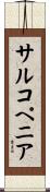 サルコペニア Scroll