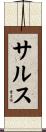 サルス Scroll