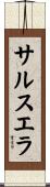 サルスエラ Scroll