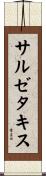 サルゼタキス Scroll