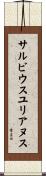 サルビウスユリアヌス Scroll