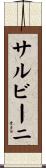 サルビーニ Scroll