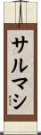 サルマシ Scroll