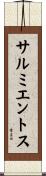 サルミエントス Scroll