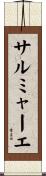 サルミャーエ Scroll